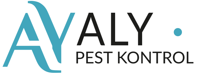 Beşiktaş Böcek İlaçlama - Beşiktaş Haşere İlaçlama - Beşiktaş İlaçlama