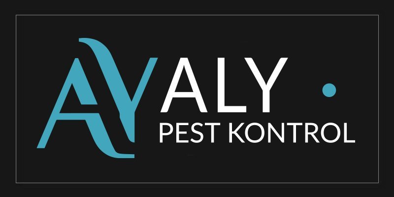 Nispetiye Böcek İlaçlama