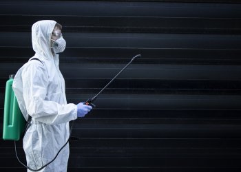  Kalorifer Böcekleri Neden Geceleri Aktiftir? | Gece Görülen Haşereler