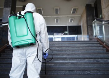 Aly Pest Kontrol | İstanbul’da Profesyonel Haşere Mücadelesi – Vizyonumuz ve Misyonumuz