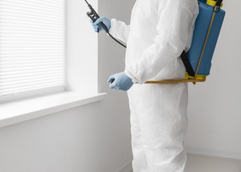 Böceklerden Korkmayın, Bize Bırakın! – Hamam Böceklerine Karşı Etkili Çözüm