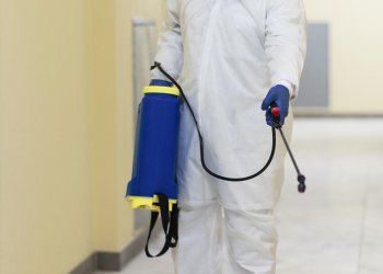 İstanbul Böcek İlaçlama Firması Seçerken Nelere Dikkat Edilmeli?