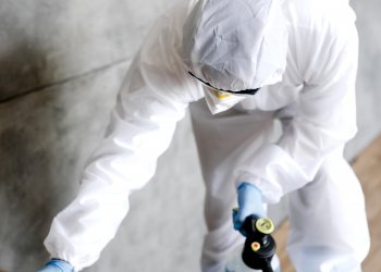 Beşiktaş Böcek İlaçlama – Sağlık Bakanlığı Onaylı İlaçlarla Profesyonel Hizmet |