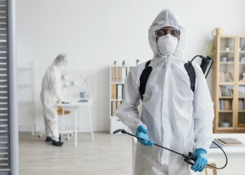 Beşiktaş Böcek İlaçlama: Kimyasal Kullanmadan Sıcak Buhar Yöntemi ile Tahta Kurusu Çözümü