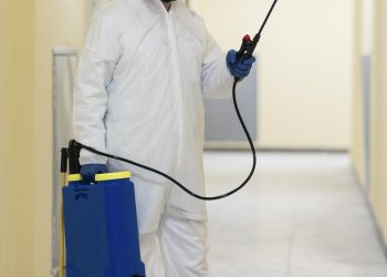 Beşiktaş Tahta Kurusu İlaçlama – Sessiz İstilaya Karşı Profesyonel ve Garantili Çözüm