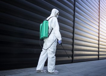 Beşiktaş Fare İlaçlama | Profesyonel Rodent Kontrol – Garantili Hizmet