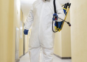 Beşiktaş Tahta Kurusu İlaçlama – Buharlı ve Sıcak Uygulama