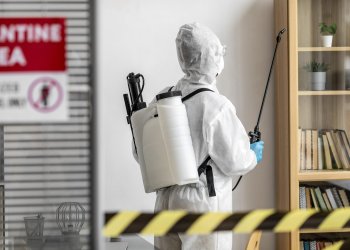 Beşiktaş Böcek İlaçlama – Pire Sorununa Kesin ve Profesyonel Çözüm