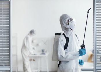 Beşiktaş Ev ve İş Yerlerinde Karınca, Sinek, Pire ve Tahtakurusu İlaçlama Hizmeti